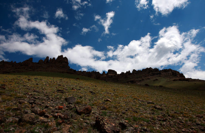 Grizzly Moth Site